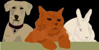 Sunnyvale Pet Sitting Service