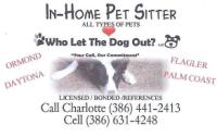 Ormond Beach Pet Sitting Service