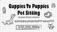 Wilkes Barre Pet Sitting Service
