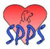 Spirit of Phoenix Pet Services -- "Keeping Your Pets in Happy Spirits"
