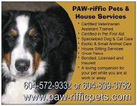 Surrey Pet Sitting Service