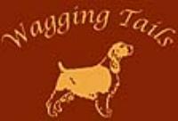 Hampshire Pet Sitting Service