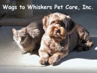 FL Pet Sitting Service