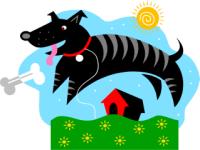 AZ Pet Sitting Service