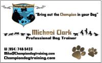 FL Pet Sitting Service