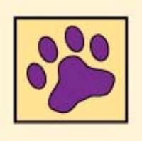 Middlesex, Union, Somerset Counties, Pet Sitting, Dog Walking, Pet Care Service