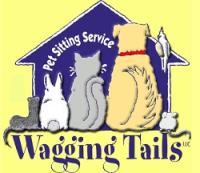 Pet Sitting CT - Dog Sitting - Cat Sitting - Wagging Tails LLC